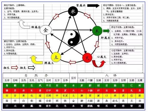 天干 陰陽|天干